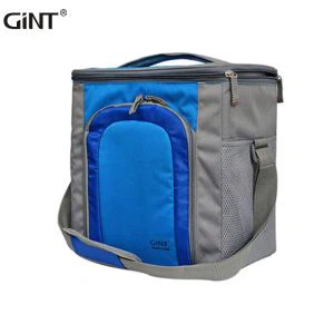 20L لنچ انسولیٹڈ کولر بیگ